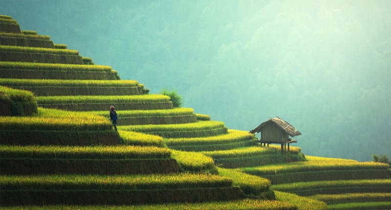 Sustainable Landscapes